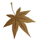 deco