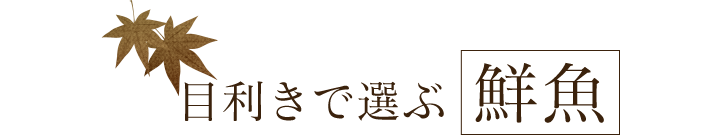 目利きで選ぶ鮮魚